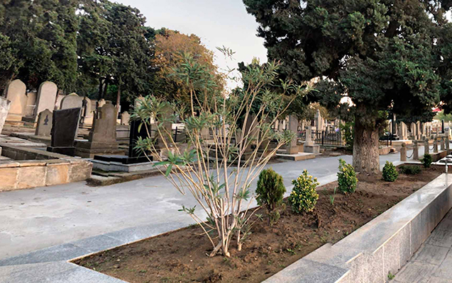 14 yaşlı qıza əxlaqsızlıq edən şəxsə HÖKM OXUNDU